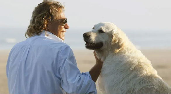 Jetzt gratis Hundefutter sichern!